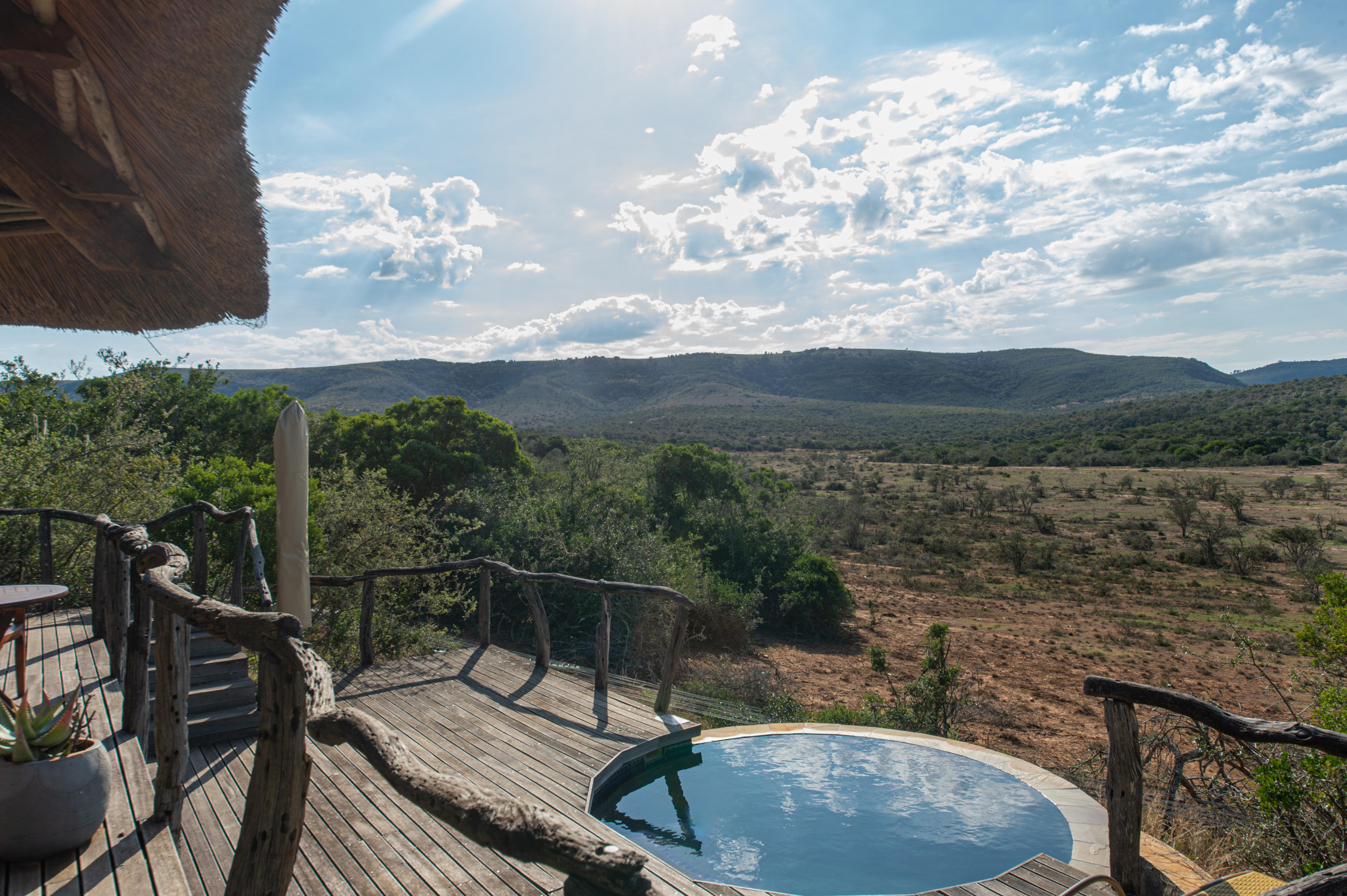 Pumba Private Game Reserve Port Elizabeth Exterior foto
