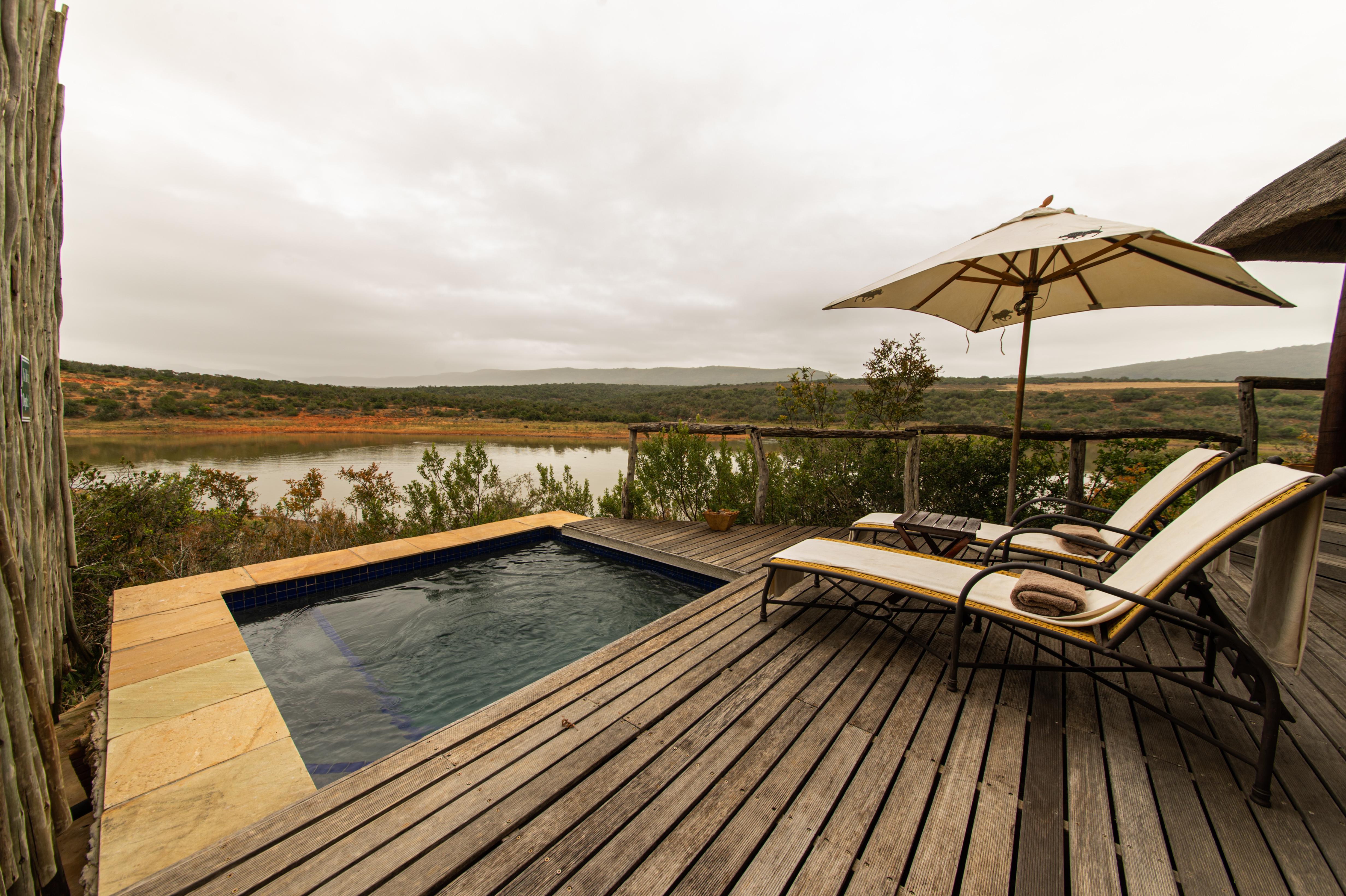 Pumba Private Game Reserve Port Elizabeth Exterior foto