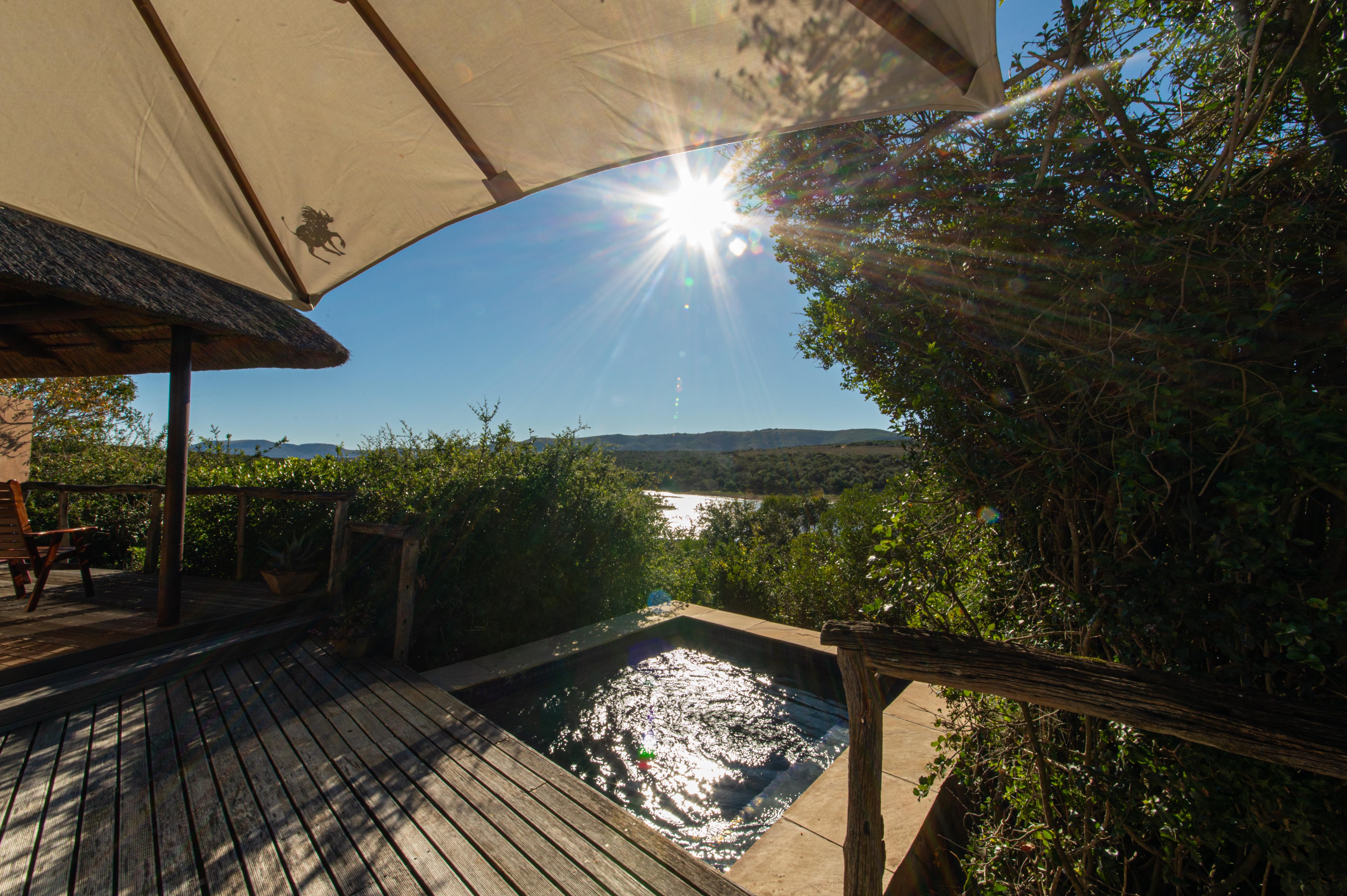 Pumba Private Game Reserve Port Elizabeth Exterior foto