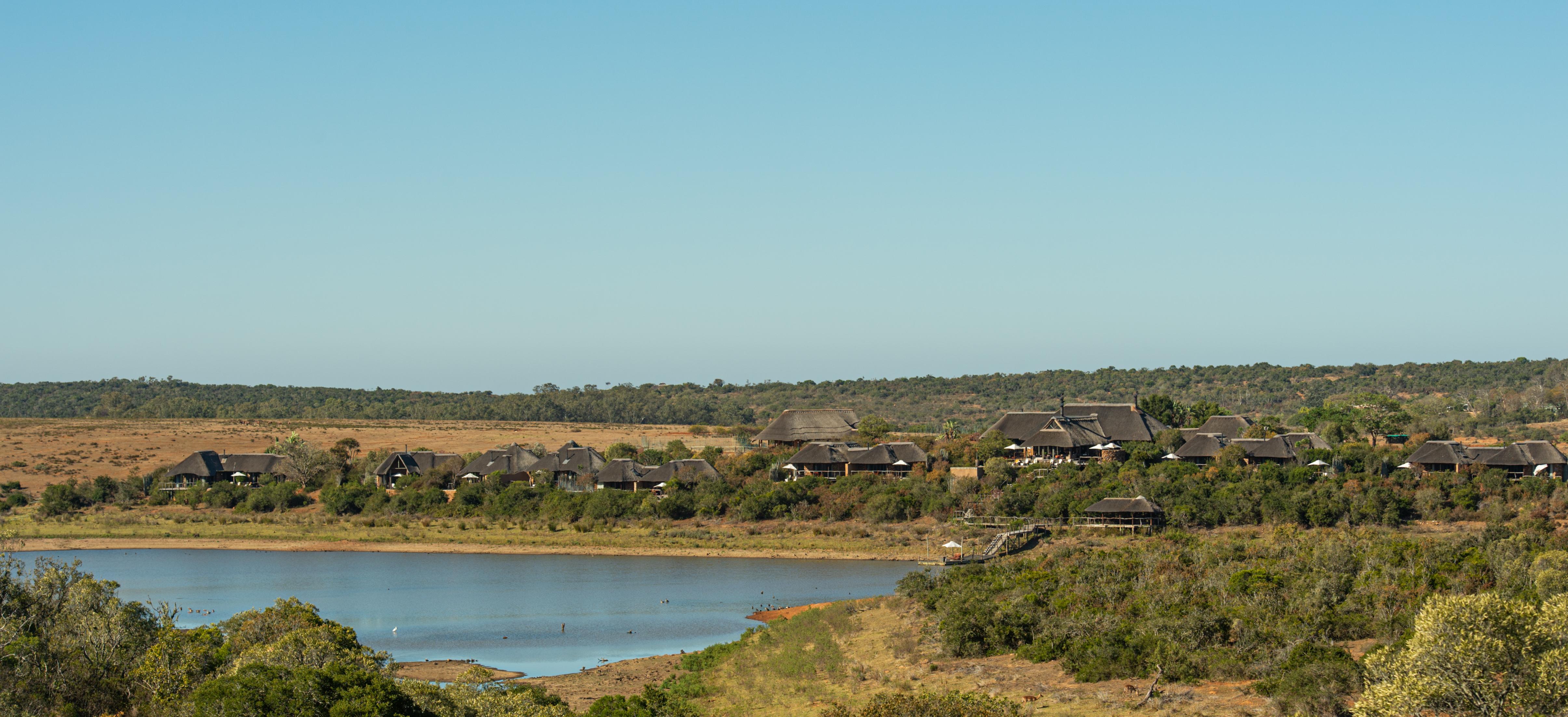 Pumba Private Game Reserve Port Elizabeth Exterior foto
