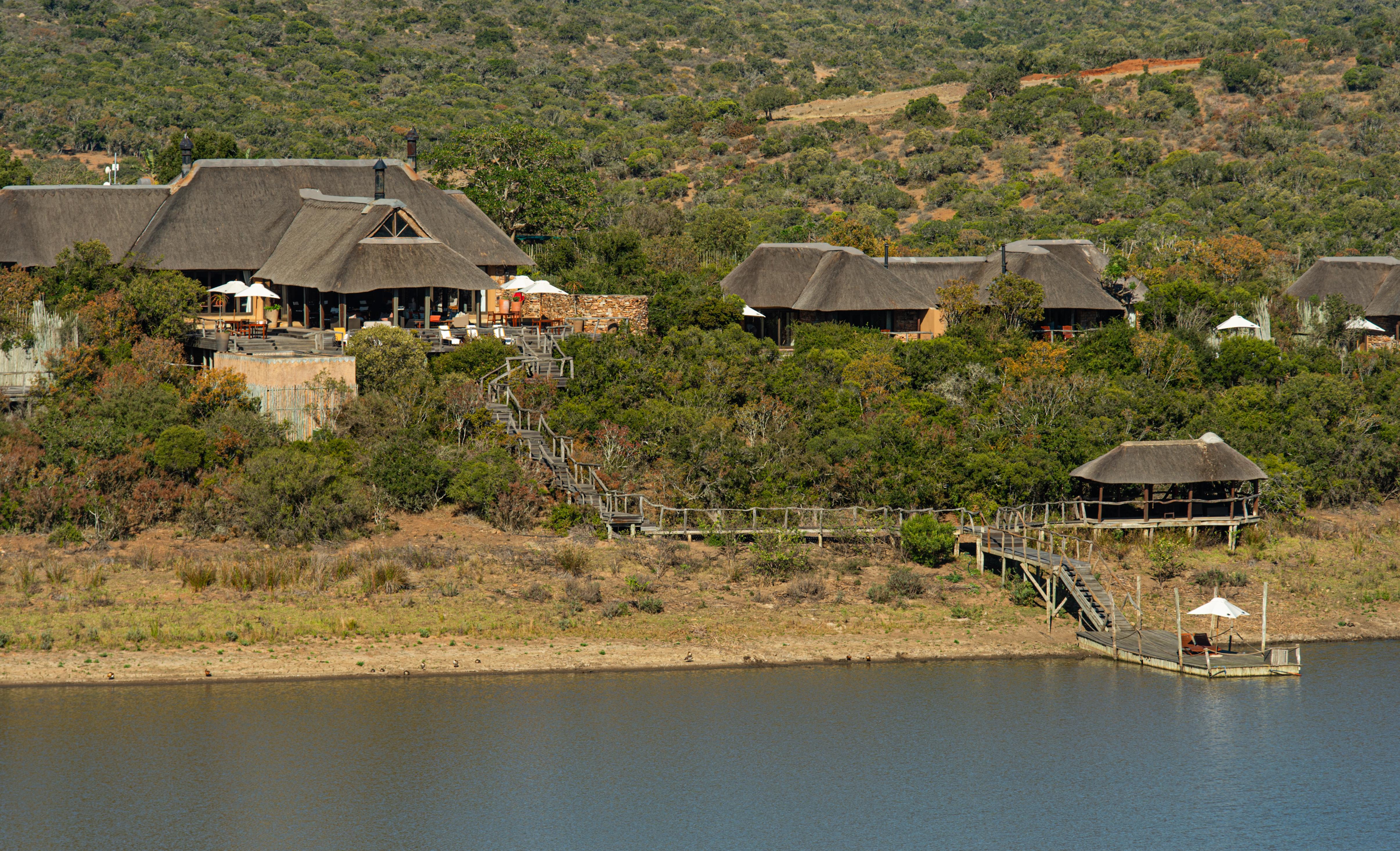 Pumba Private Game Reserve Port Elizabeth Exterior foto