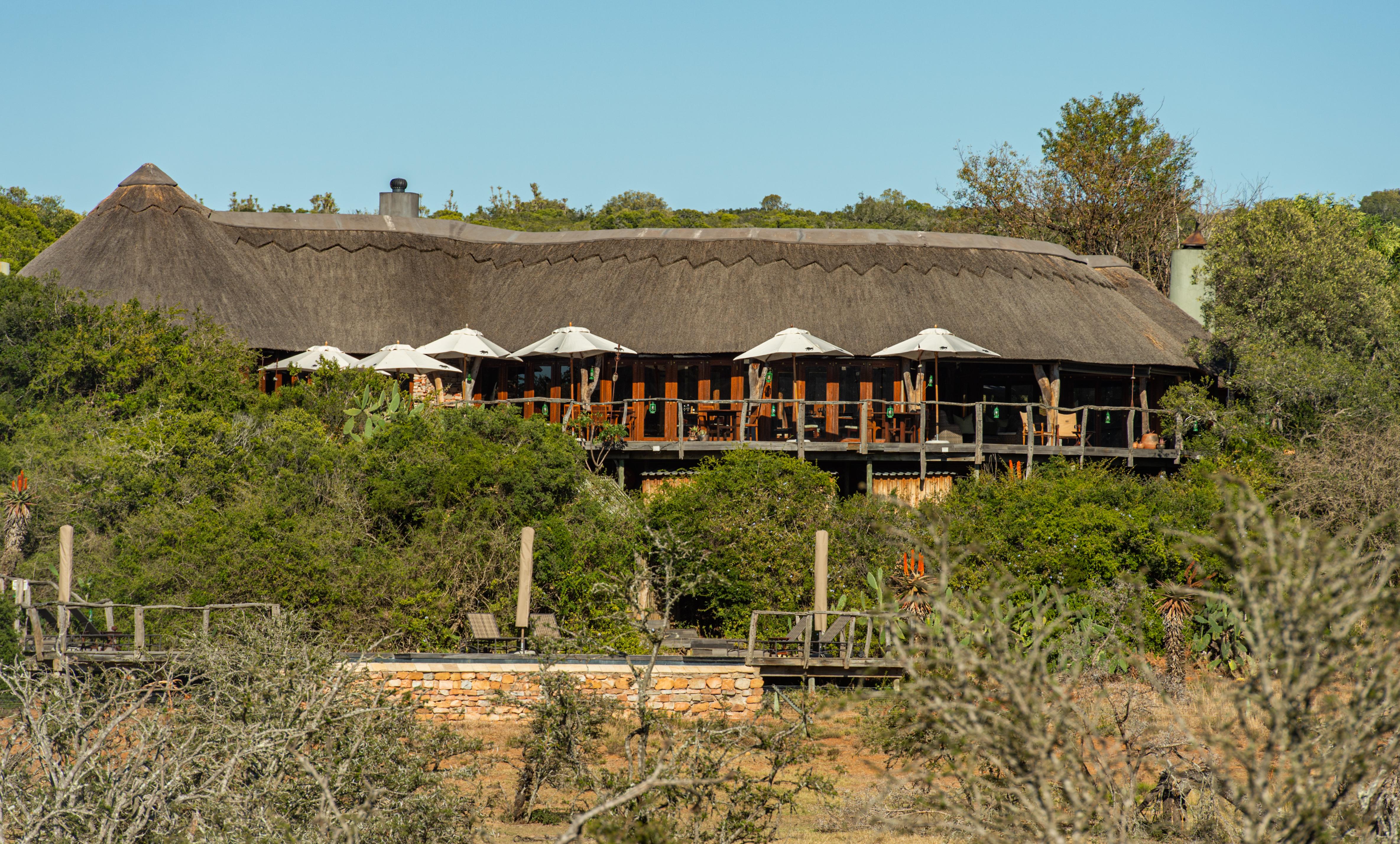 Pumba Private Game Reserve Port Elizabeth Exterior foto