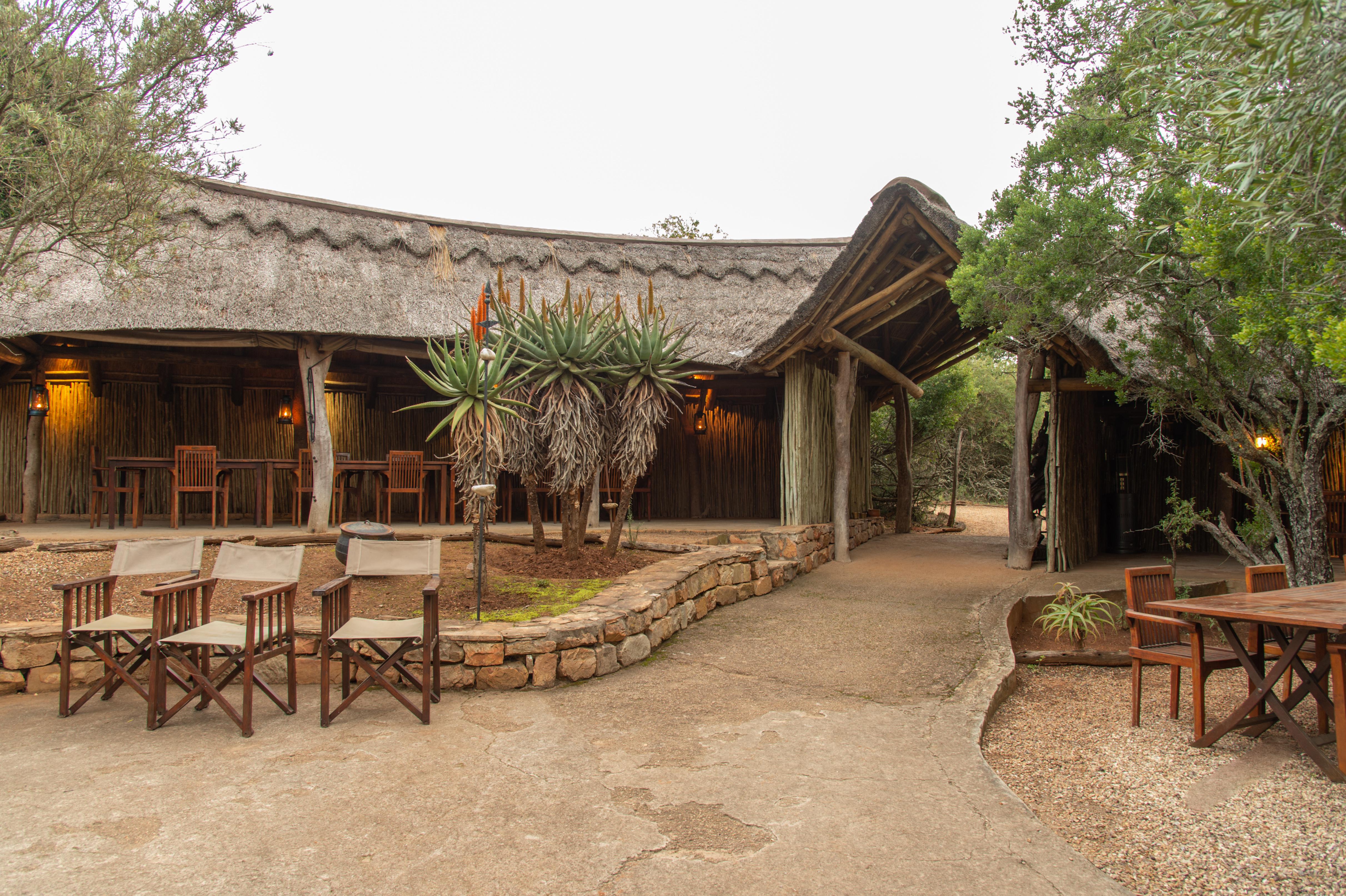 Pumba Private Game Reserve Port Elizabeth Exterior foto